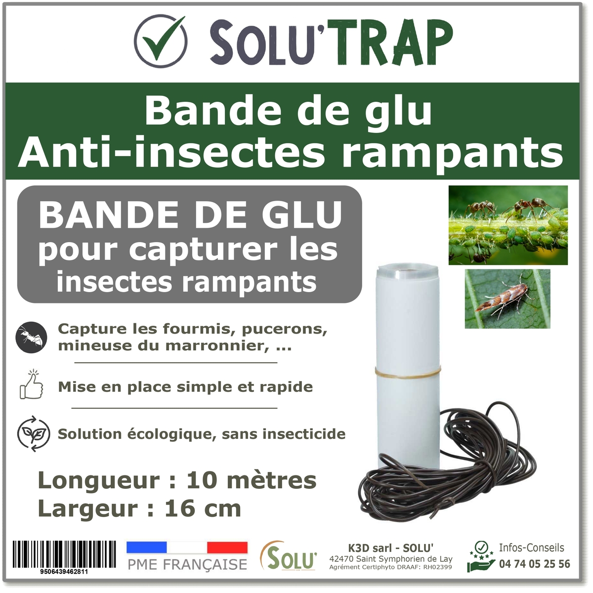 Bande de Glu Spéciale insectes rampants – Piège Englué pour Capturer les Papillons, Fourmis, Pucerons - SOLU’TRAP